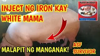KAHALAGAHAN NG IRON SA BUNTIS NA INAHIN, MALAPIT NG MANGANAK C WHITE MAMA @mangungumatv8418