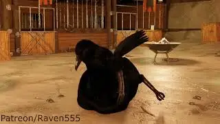 Bird Vore