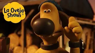 La Oveja Shaun 🐑 Buen cachorro 🐑 Dibujos animados para niños