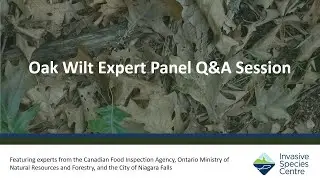 Oak Wilt Expert Panel Q&A