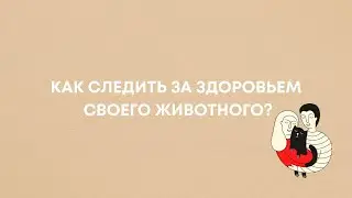 Здоровье животных