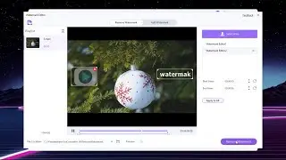 How To Remove Watermark from Any Video