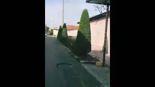 archaga shakil berish xizmati