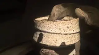 Electric kiln unloading