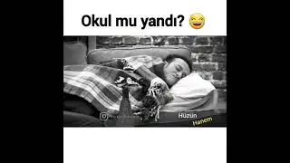 Çok Güzel Hareketler Bunlar 2   Efsane Laf Sokma Sahneleri