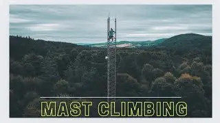 Climbing High Above the Tree's