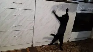 Бой с тенью.