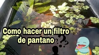 Filtro de pantano/como hacer un filtro de pantano