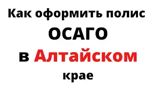 ОСАГО онлайн в Алтайском крае