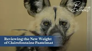 Reviewing the New Weight of Clairefontaine Pastelmat Board | Materials Guide