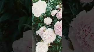 20 июня 2023 г.