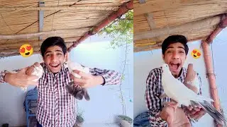 Hum Laiy Aj New Kbooter 😍