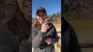TRIGGER CONTROL