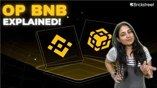 What is opBNB? Explained