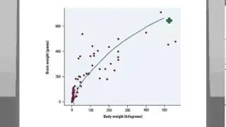 Animal Scatter Plot
