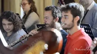 Orchestral Life 2016 - Promo