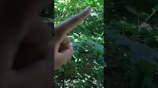 100 abone açıklama videosu #hype