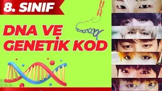 DNA AND GENETIC CODE 8TH GRADE SCIENCE