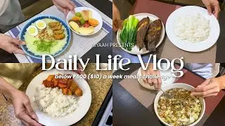 budget meal plan | below ₱500 ($10) a week meals challenge