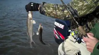 Secret Walleye Lures Catch a Double!!