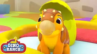 A New Baby Dino Is Born! | Dino Ranch
