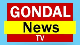 How to make News logo animation in after effect - Hadi logo animatio