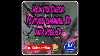 How to check youtube channel id and user id in android phones