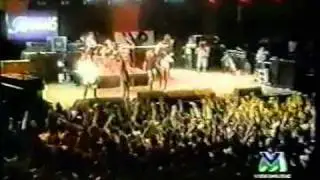 Slash's Snakepit: "What Do You Want To Be" (live Pistoia Blues Festival 1995)