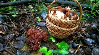 ❗Подводим итоги 2023 года 🍄 Май❗