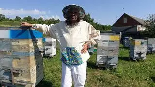 Медосборная база