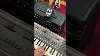 Cosmic Echo - Stomp Wizard - with Casiotone