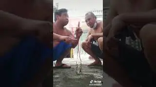 Broma de la botella