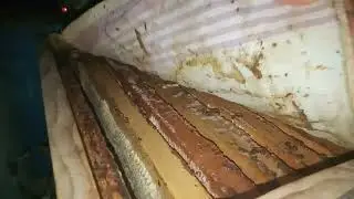 Что  не  так  по  зимовке  