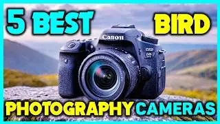 ✅Best Camera for Bird Photography Review - Best Superzoom Camera for Birding