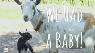 We had a baby!