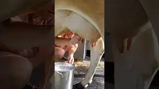 I'm ditching the milk machine?! 