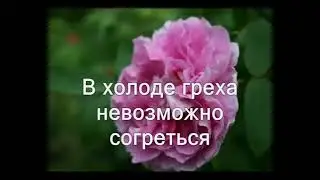 Песня о Боге 83 (Падневичи)