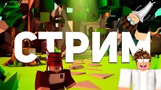 Играю с подписчиками помогаю им