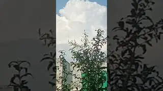 So Nice in Chawinda