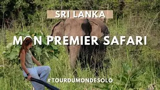 Faire un SAFARI au Sri Lanka : des ELEPHANTS oui, mais qu'en est-il des LEOPARDS ?