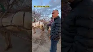 Оренбург кушкуль в воде