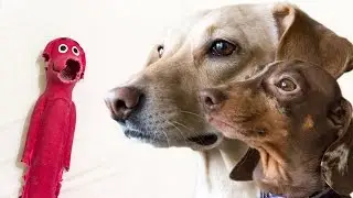 Two Dogs and a Half Toy