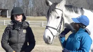 TPR's Hero Horses program