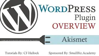 Akismet Wordpress Plugin Activation