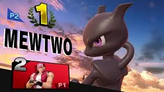 Mewtwo (Bluestar4u)  vs Terry