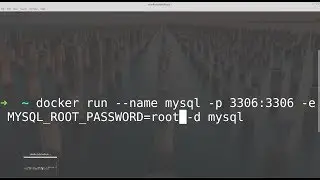 docker: The container name "/mysql" is already in use by container problem fixed