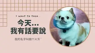 【寵物】今天...我有很多話想說