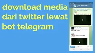 cara download video dari twitter lewat bot telegram