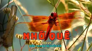 Nhớ Quê | Nhạc sĩ Minh Vy | Đàn Tranh Nguyên Kỳ (Vietnamese Traditional Zither Cover)