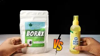 3 Amazing Experiments With FeviGum||Easy Science Experiment do at Home || Science Experiment